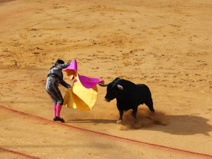 Qué hacer hoy en las Fiestas de Arganda: sábado 5 de septiembre
