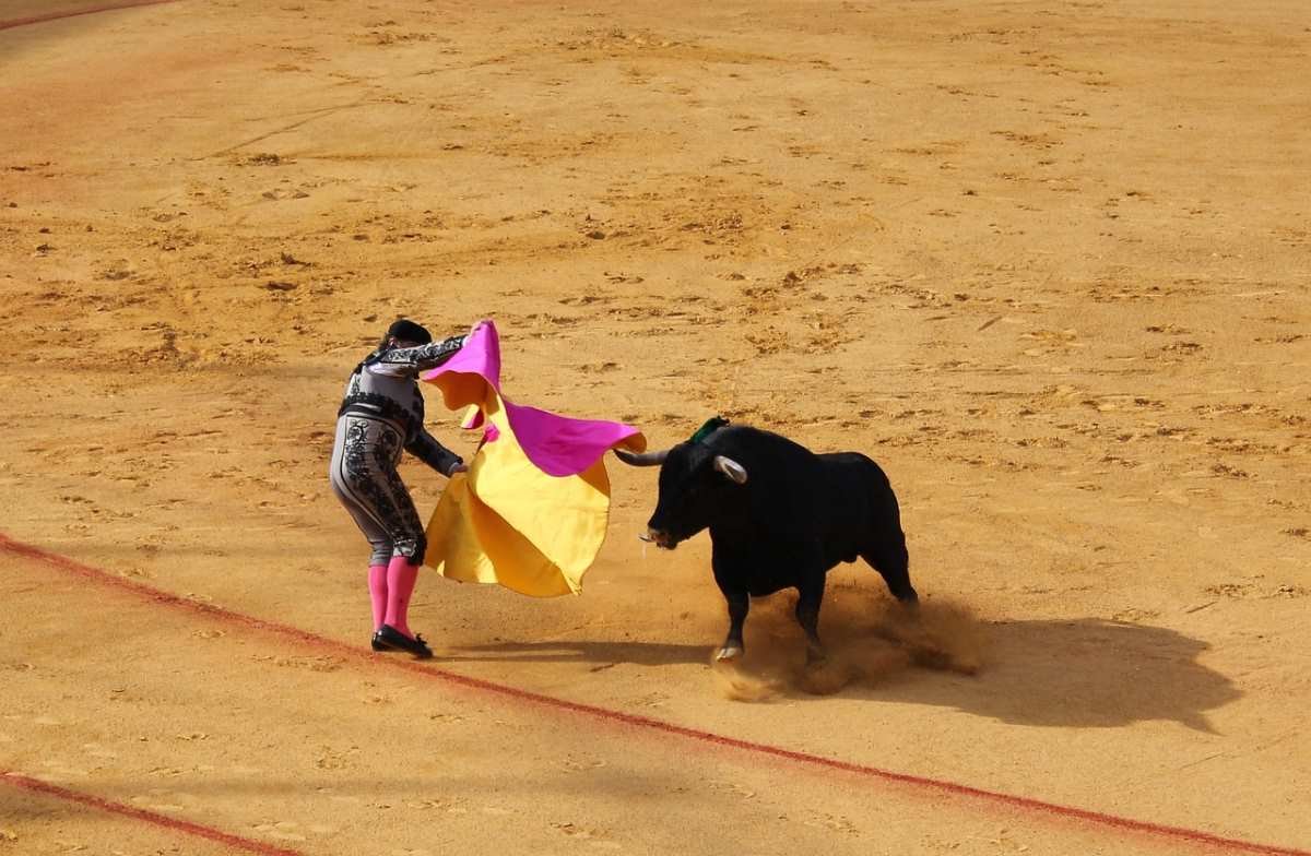 Feria de novilladas en Arganda del Rey