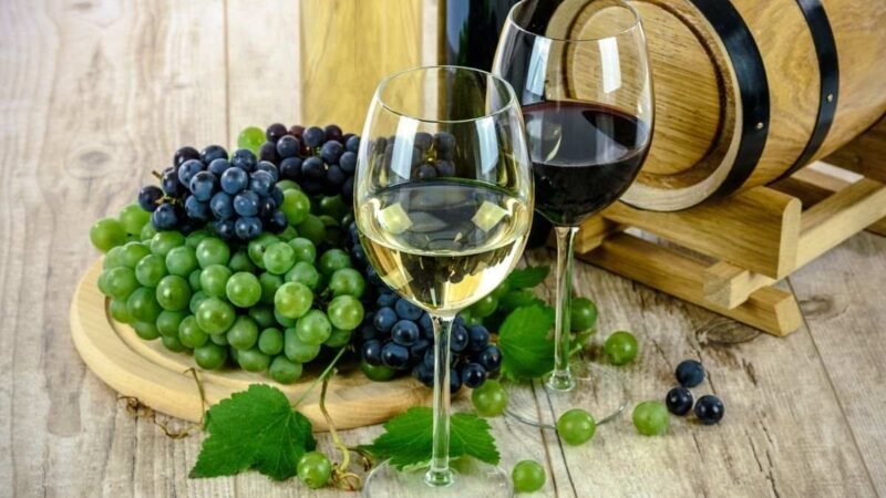 Vinos «Y Volarás», el tesoro vinícola de la Cooperativa Vitivinícola de Arganda