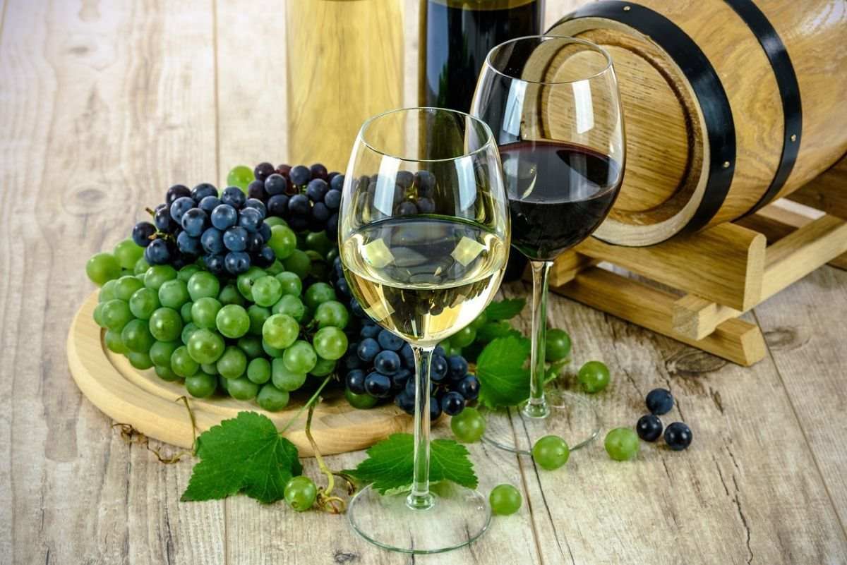 Vinos «Y Volarás», el tesoro vinícola de la Cooperativa Vitivinícola de Arganda