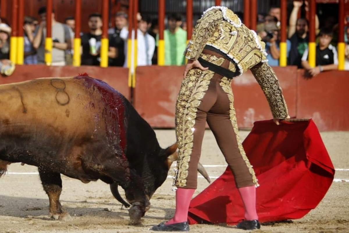 Que hacer en Arganda del Rey el tercer fin de semana de julio