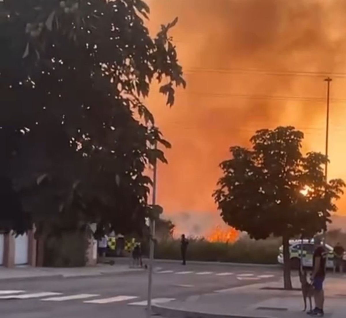 ‘Problemas de la ciudadanía’, los argandeños piden al Ayuntamiento que se solucione el problema con el descampado del barrio El Guijar