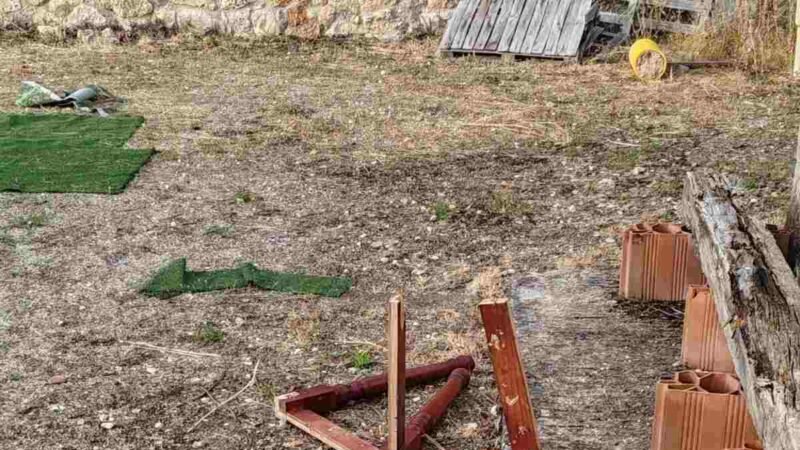 Vandalismo e indignación: destrozan la finca de trabajo de Adiestradogs en Arganda del Rey