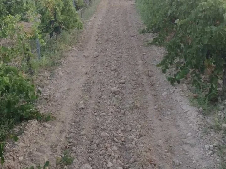 Arganda del Rey celebra una nueva edición de «Primavera y Verano entre Viñedos»