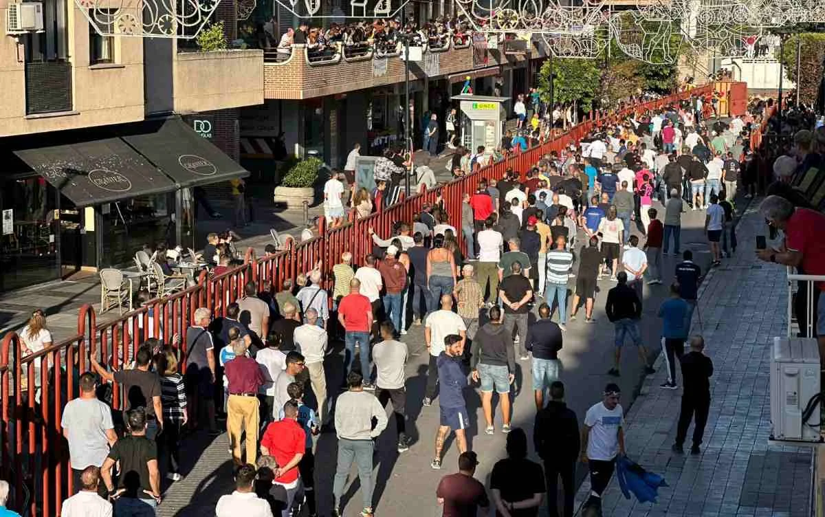 Arganda anuncia las 19 ganaderías que protagonizarán los festejos taurinos de 2025