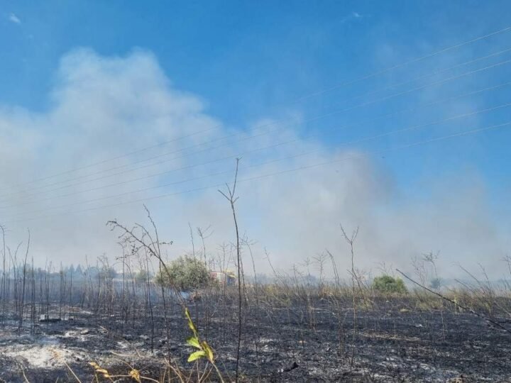 Sofocado un aparatoso incendio de pasto y olivar en El Guijar, en Arganda del Rey