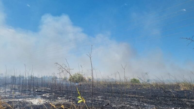 Sofocado un aparatoso incendio de pasto y olivar en El Guijar, en Arganda del Rey