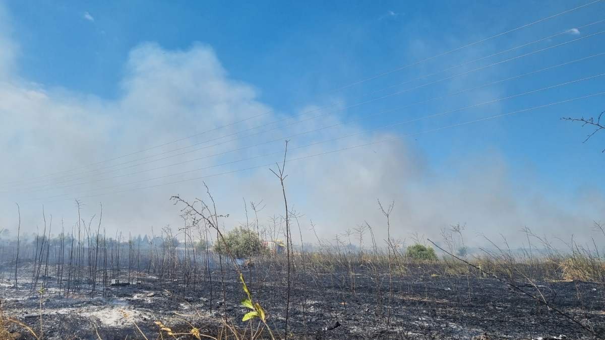 Sofocado un aparatoso incendio de pasto y olivar en El Guijar, en Arganda del Rey