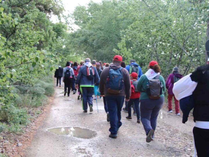 Las 3 mejores rutas de senderismo para descubrir la naturaleza de Arganda del Rey