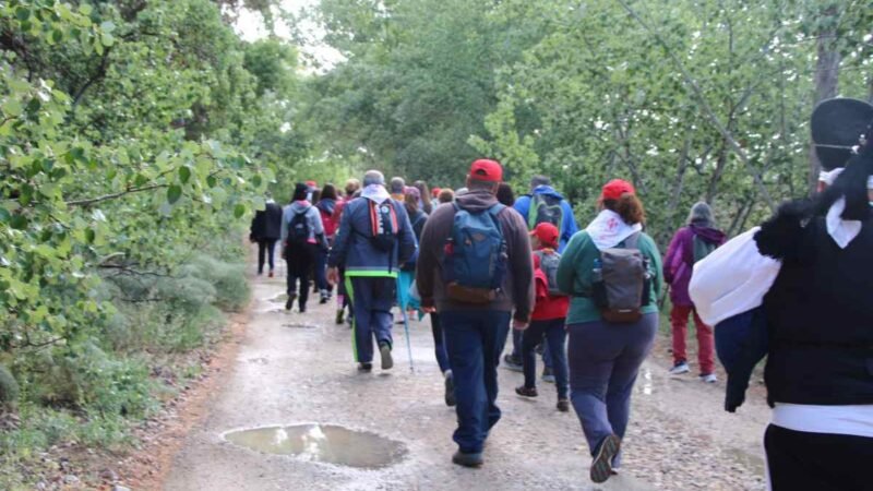 Las 3 mejores rutas de senderismo para descubrir la naturaleza de Arganda del Rey