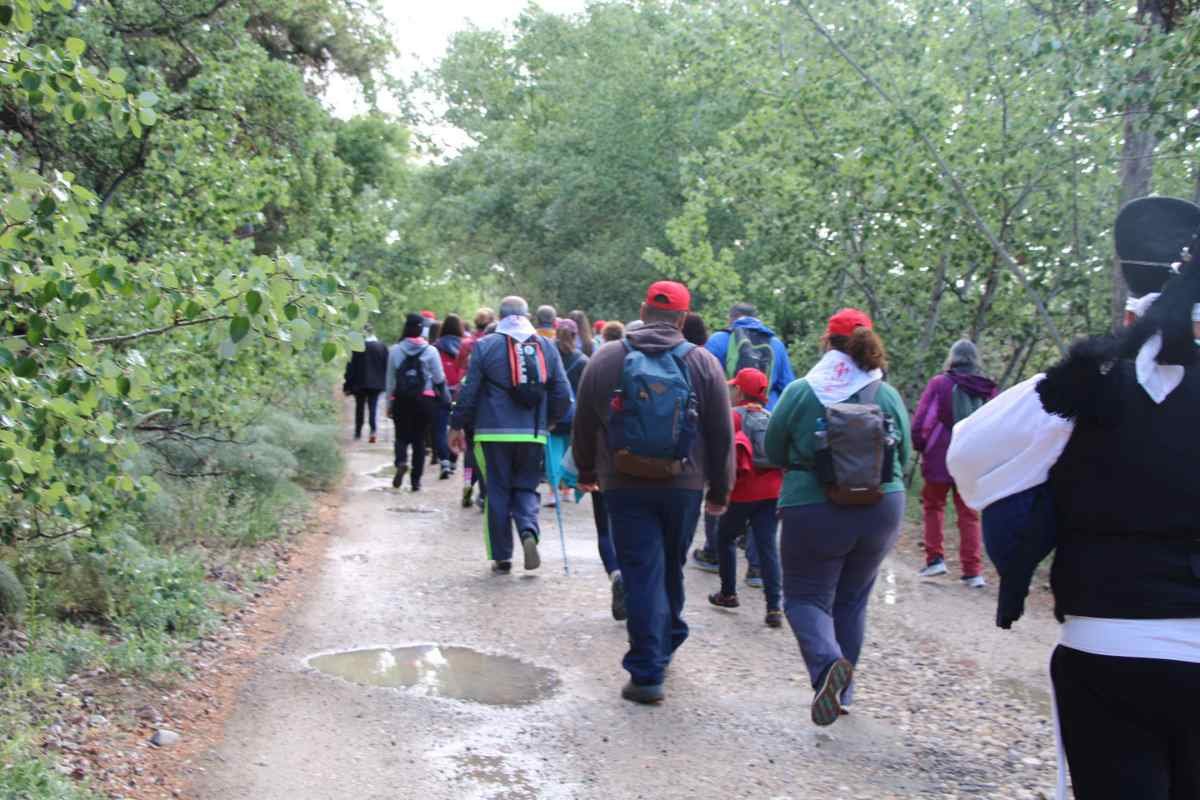 Las 3 mejores rutas de senderismo para descubrir la naturaleza de Arganda del Rey