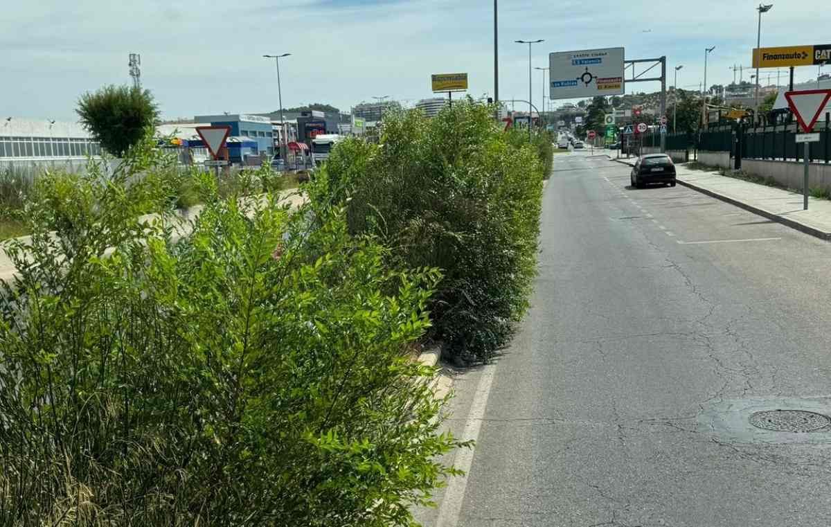 ‘Problemas de la ciudadanía’, jardineras demasiado invasivas en la Avenida de Madrid preocupan a los argandeños