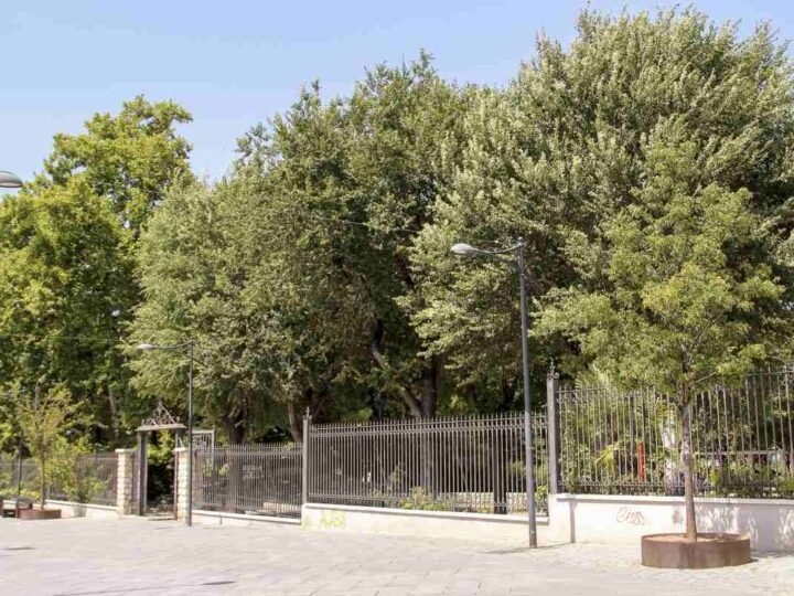 Arganda prepara un espectacular pasaje del terror en el Parque de los Patos para Halloween