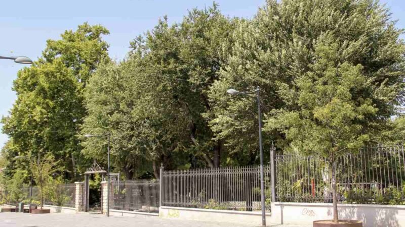 Arganda prepara un espectacular pasaje del terror en el Parque de los Patos para Halloween