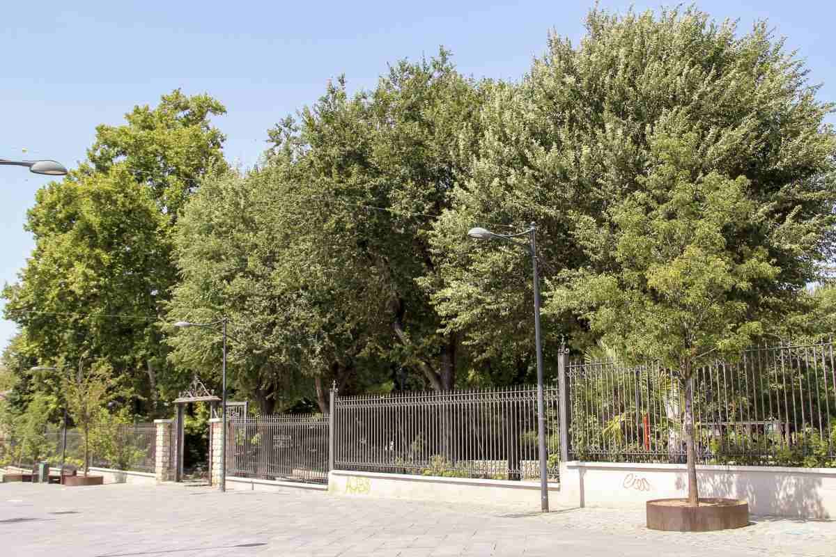 Arganda prepara un espectacular pasaje del terror en el Parque de los Patos para Halloween