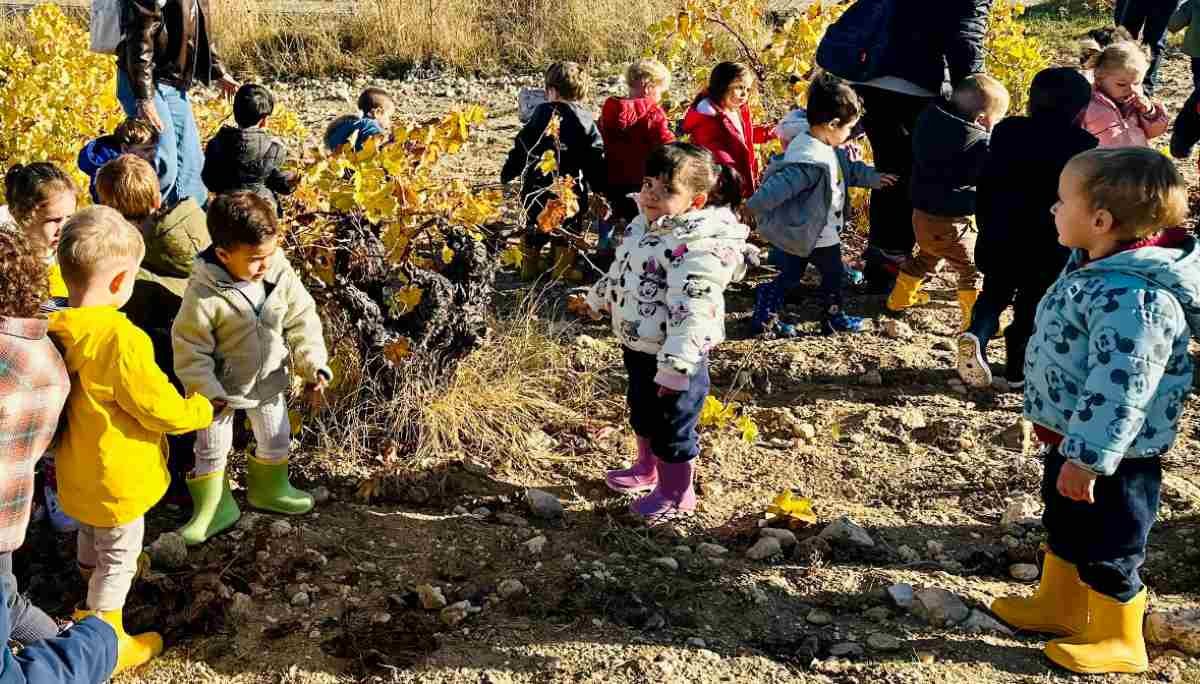 Más de 300 escolares de Arganda participarán en la segunda temporada de visitas a los viñedos y olivares
