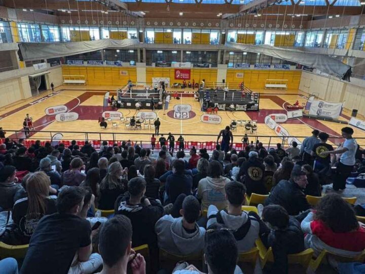 Arganda acoge este fin de semana el III Torneo Internacional de Boxeo Olímpico Enrique Soria
