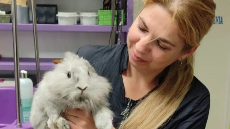 Quién está detrás de… la peluquería de mascotas Rebeca Cuevas: seis años cuidando a las mascotas de Arganda