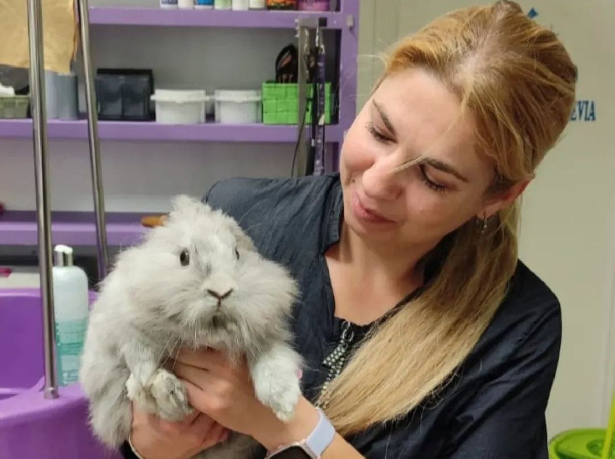 Quién está detrás de… la peluquería de mascotas Rebeca Cuevas: seis años cuidando a las mascotas de Arganda
