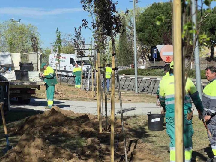 Arganda inicia nuevas plantaciones de árboles en la zona del Metro para mejorar el entorno urbano
