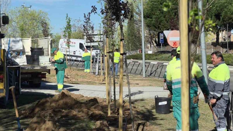 Arganda inicia nuevas plantaciones de árboles en la zona del Metro para mejorar el entorno urbano