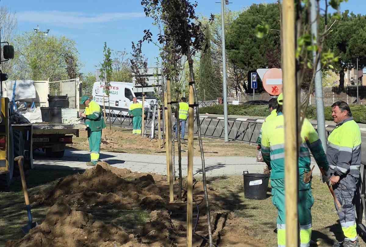 Arganda inicia nuevas plantaciones de árboles en la zona del Metro para mejorar el entorno urbano