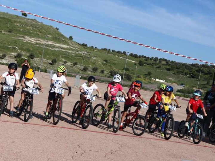 La XXVII Olimpiada Escolar de Arganda podrá seguirse en directo a través de la app VIVE ARGANDA