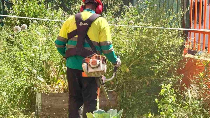 Arganda intensifica la campaña de desbroce tras actuar en cerca de 188.000 metros cuadrados