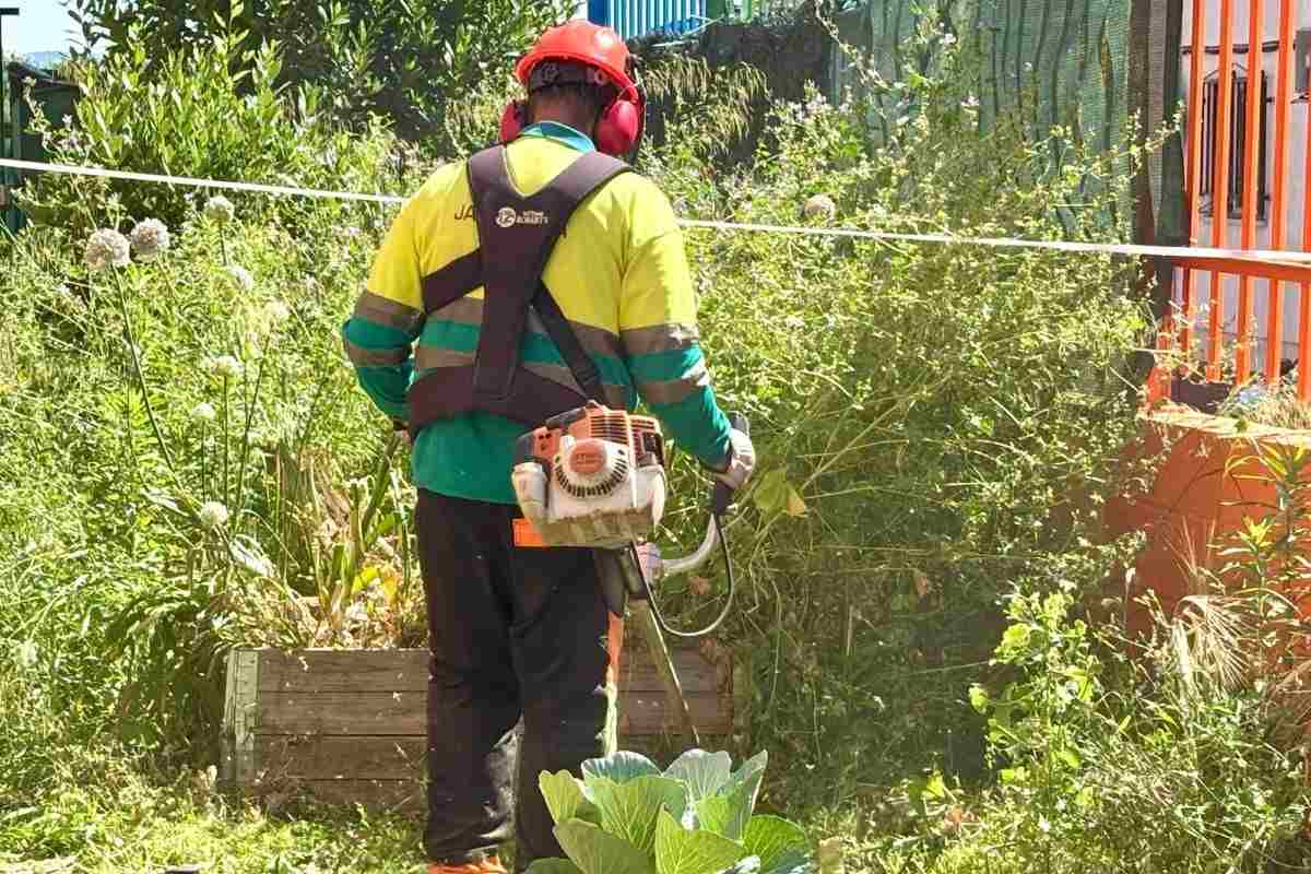 Arganda intensifica la campaña de desbroce tras actuar en cerca de 188.000 metros cuadrados