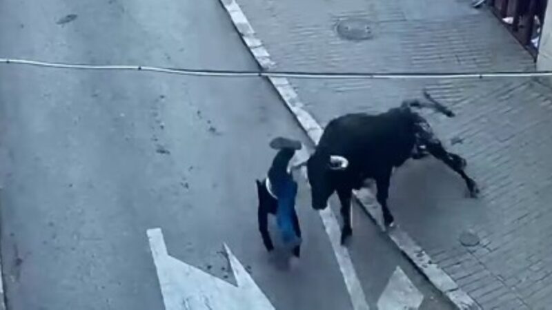 Herido grave un corredor en el encierro de hoy lunes de Arganda y trasladado al Hospital del Sureste