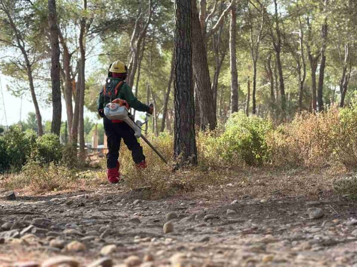El Ayuntamiento de Arganda pone en marcha una campaña de limpieza de más de 60 hectáreas en la Dehesa del Carrascal
