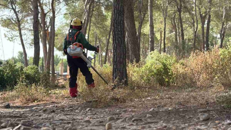 El Ayuntamiento de Arganda pone en marcha una campaña de limpieza de más de 60 hectáreas en la Dehesa del Carrascal
