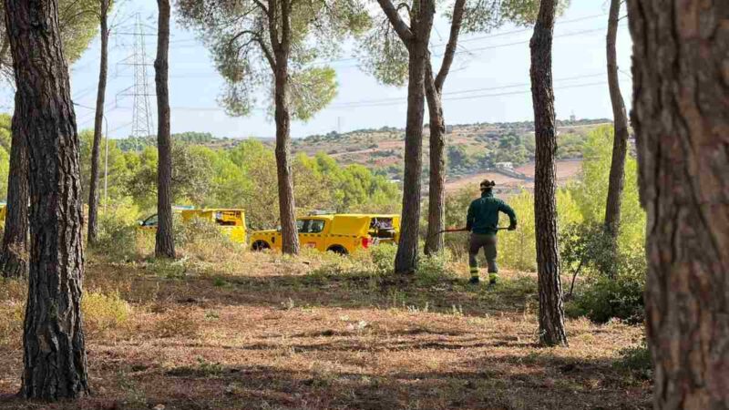 Arganda limpiará 80 parcelas privadas de la Dehesa del Carrascal para prevenir incendios forestales