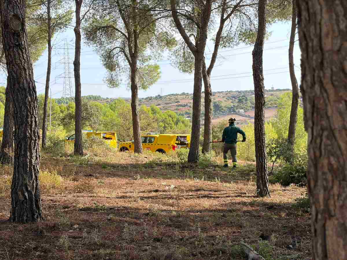 Arganda limpiará 80 parcelas privadas de la Dehesa del Carrascal para prevenir incendios forestales
